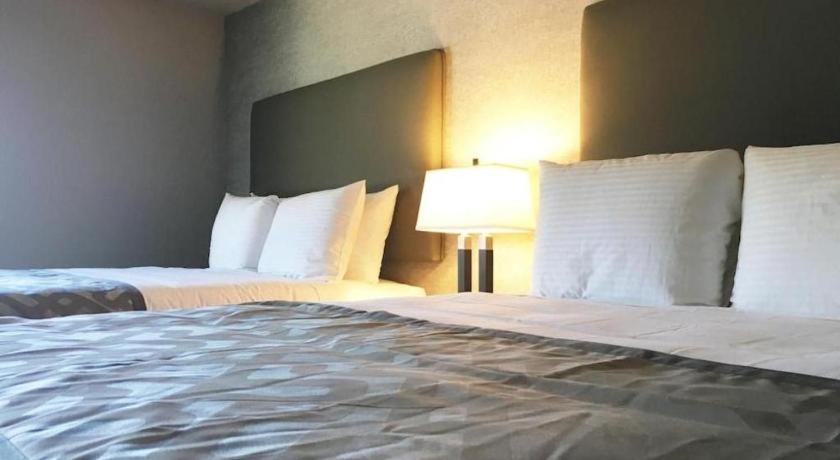 Hotel Arden Star